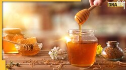 Honey Side Effects: अमृत कहते हैं शहद को पर इन लोगों के लिए है मुसीबत की खान…