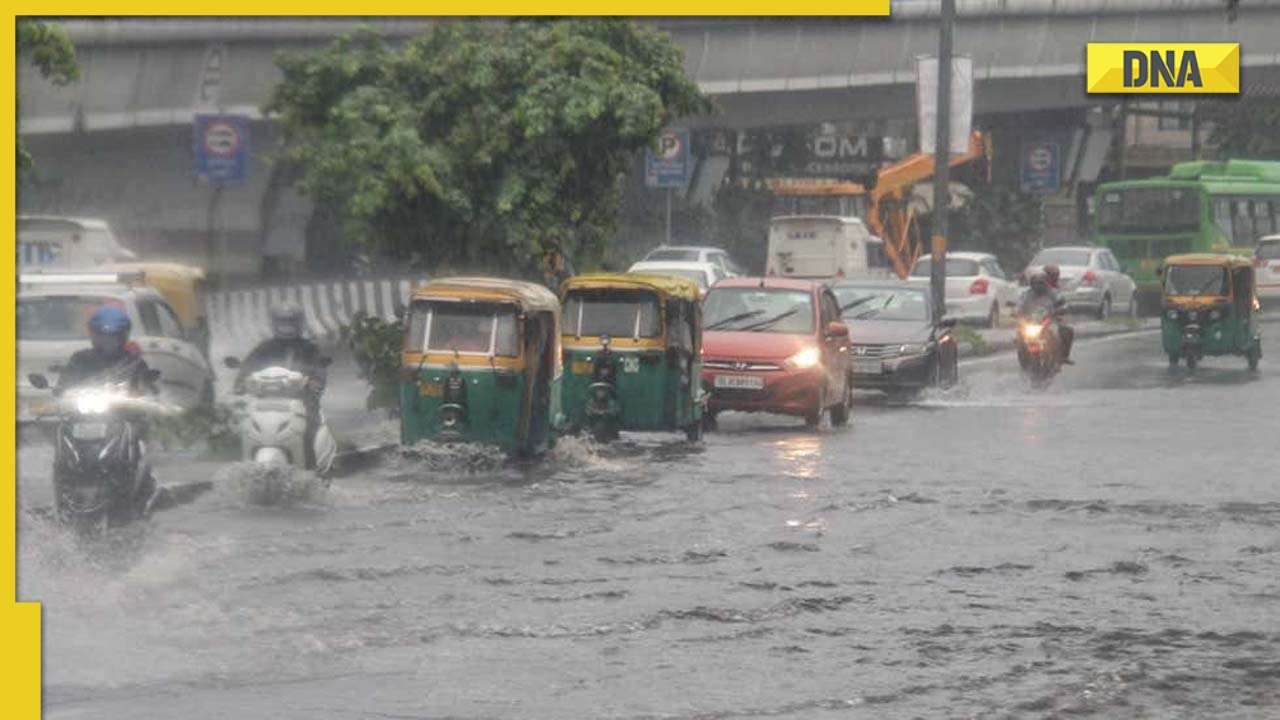 What is animal rain? Know instances when animals rained from sky What is animal rain? Know instances when animals rained from sky
