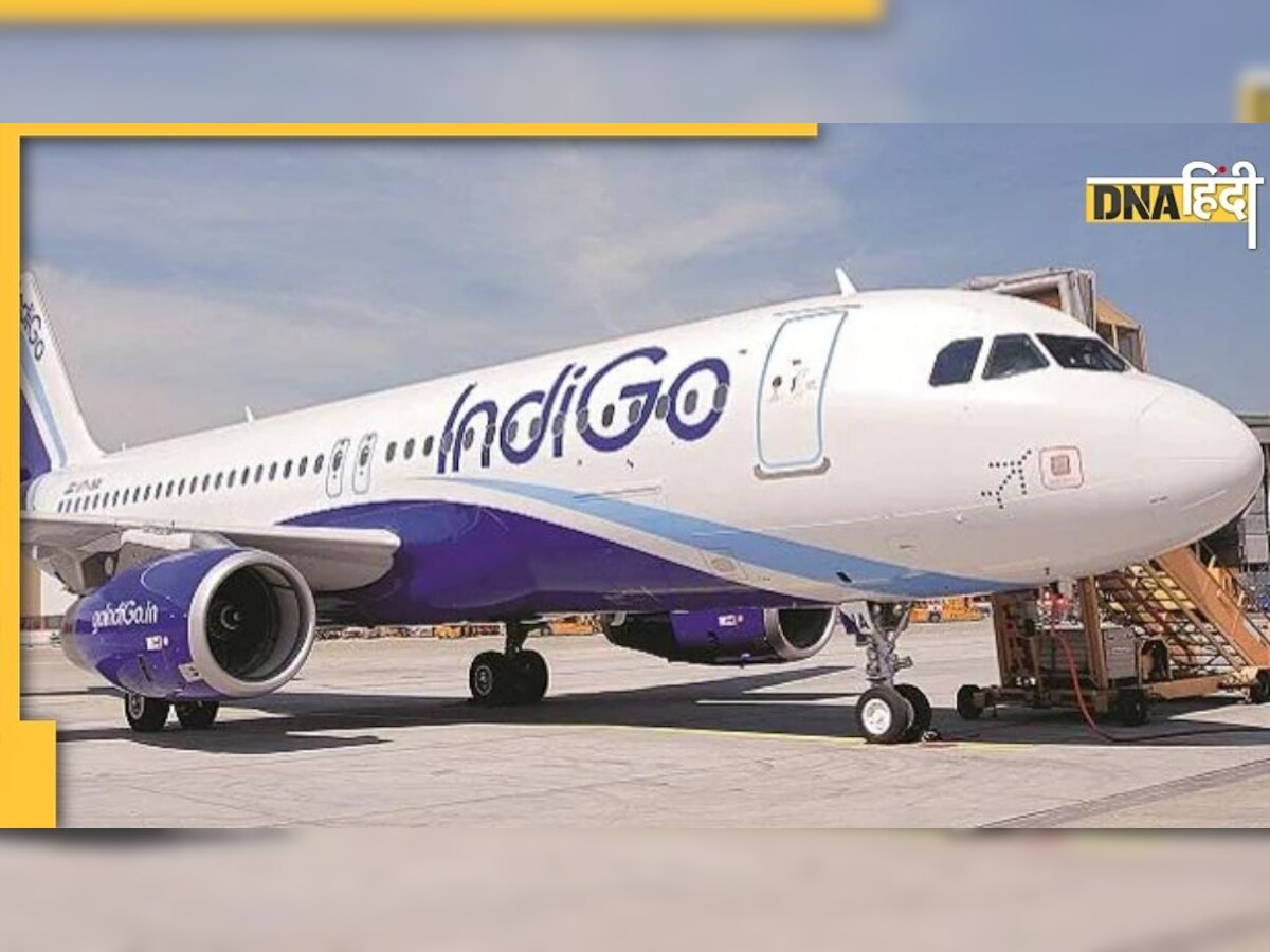 Indigo की उड़ानों पर मंडरा रहा है बड़ा संकट! छुट्टी पर दिल्ली और हैदराबाद गए टेक्नीशियन