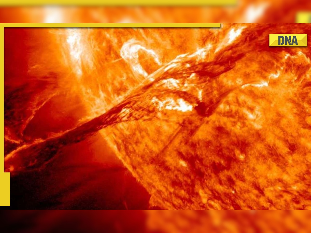 Meet Sejal Shah, Indian scientist who is recreating Sun's nuclear fusion on Earth