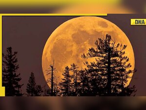 Super Buck Moon 2022: When, where to watch biggest ‘Supermoon’ of the year