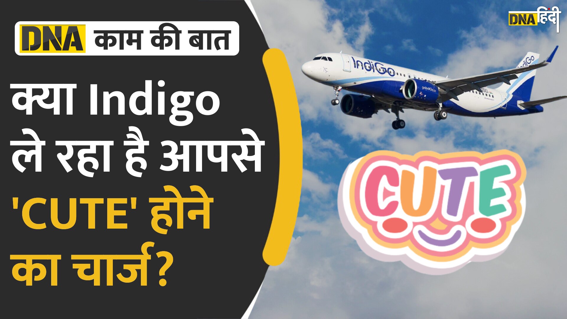 Video : IndiGo चार्ज कर रहा है Cute Fee, जानें क्या होता है ये चार्ज