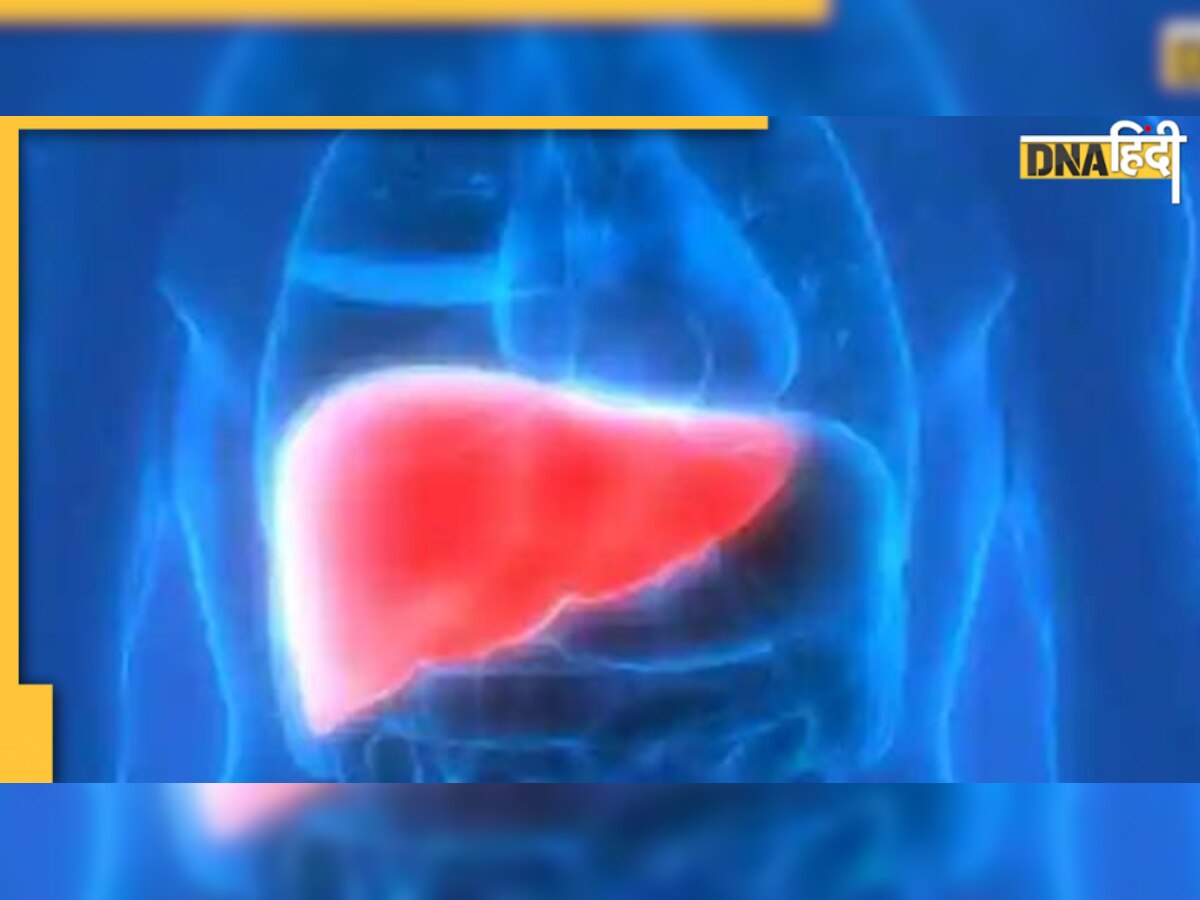 Monsoon Diseases: बरसात में लिवर का रखें खास खयाल, हो सकती हैं ये दो बीमारियां 