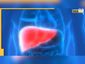 Monsoon Diseases: बरसात में लिवर का रखें खास खयाल, हो सकती हैं ये दो बीमारियां 