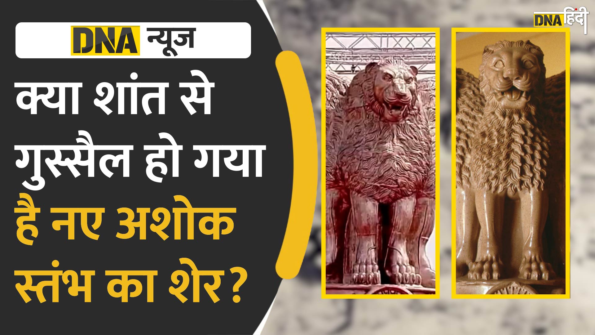 Video : क्या अशोक स्तंभ के डिजाइन में बदलाव किया जा सकता है, जानें क्या कहता है कानून?