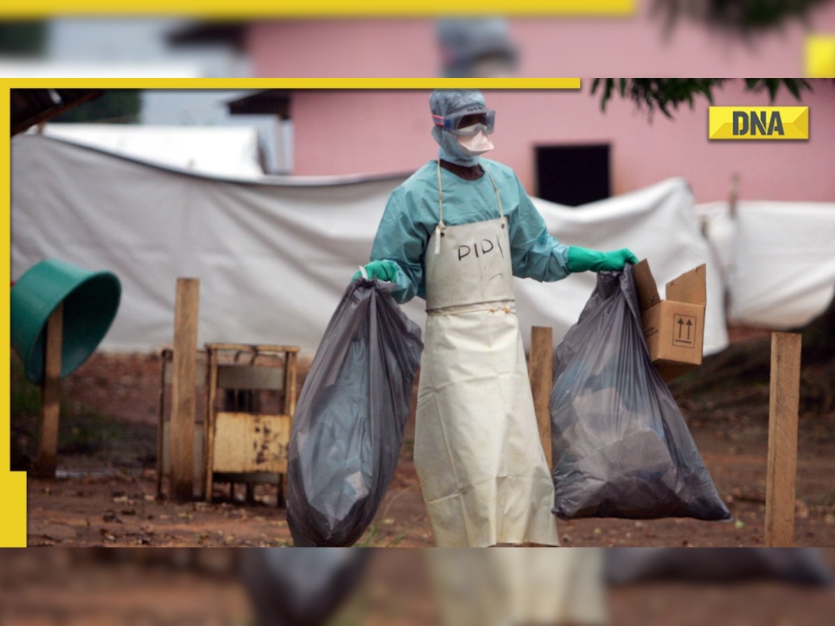 WHO declares Marburg outbreak in Ghana: Know symptoms, fatality rate, how is it transmitted