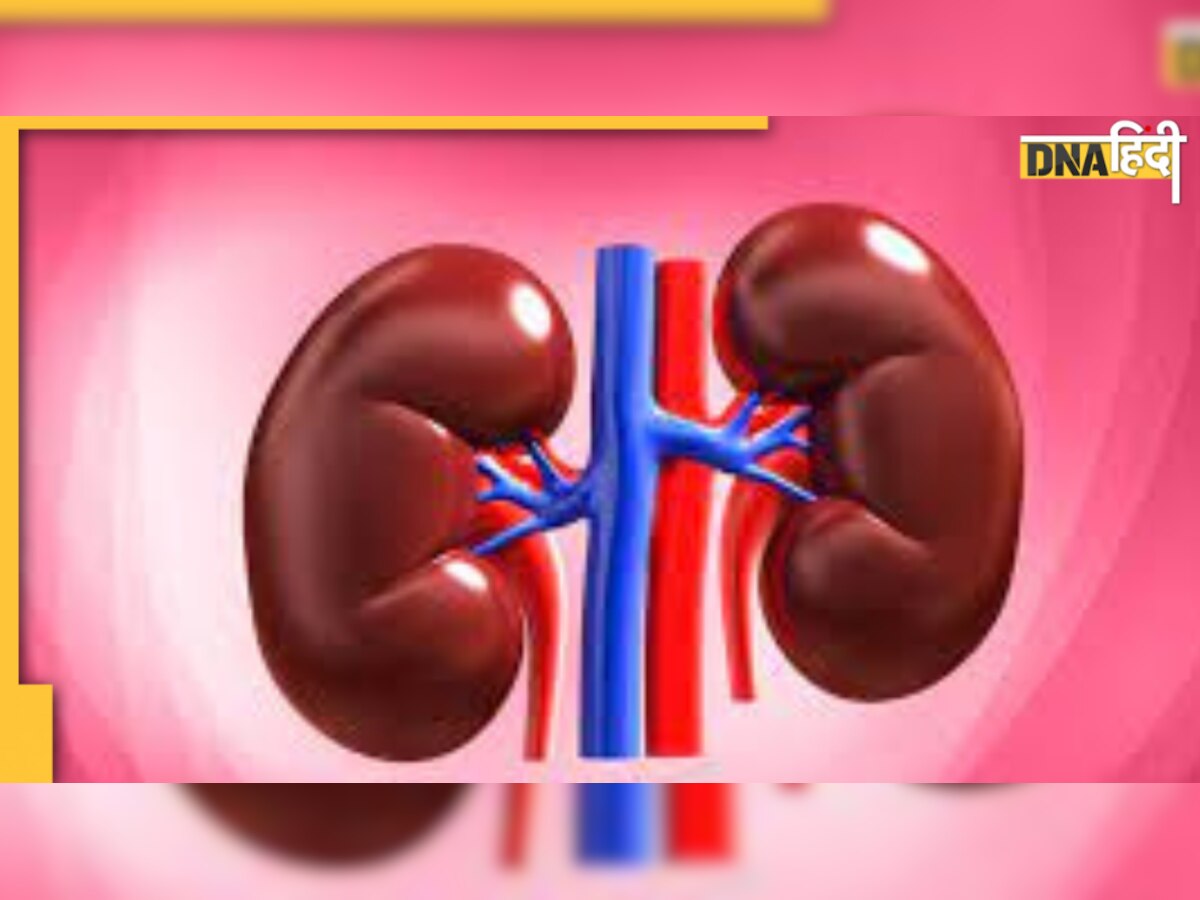 Kidney Damage: ये गलतियां खराब कर सकती हैं किडनी, आज ही लाएं सुधार