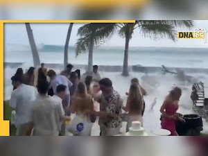 Video: समंदर किनारे करने चले थे शादी, हो गया भारी नुकसान