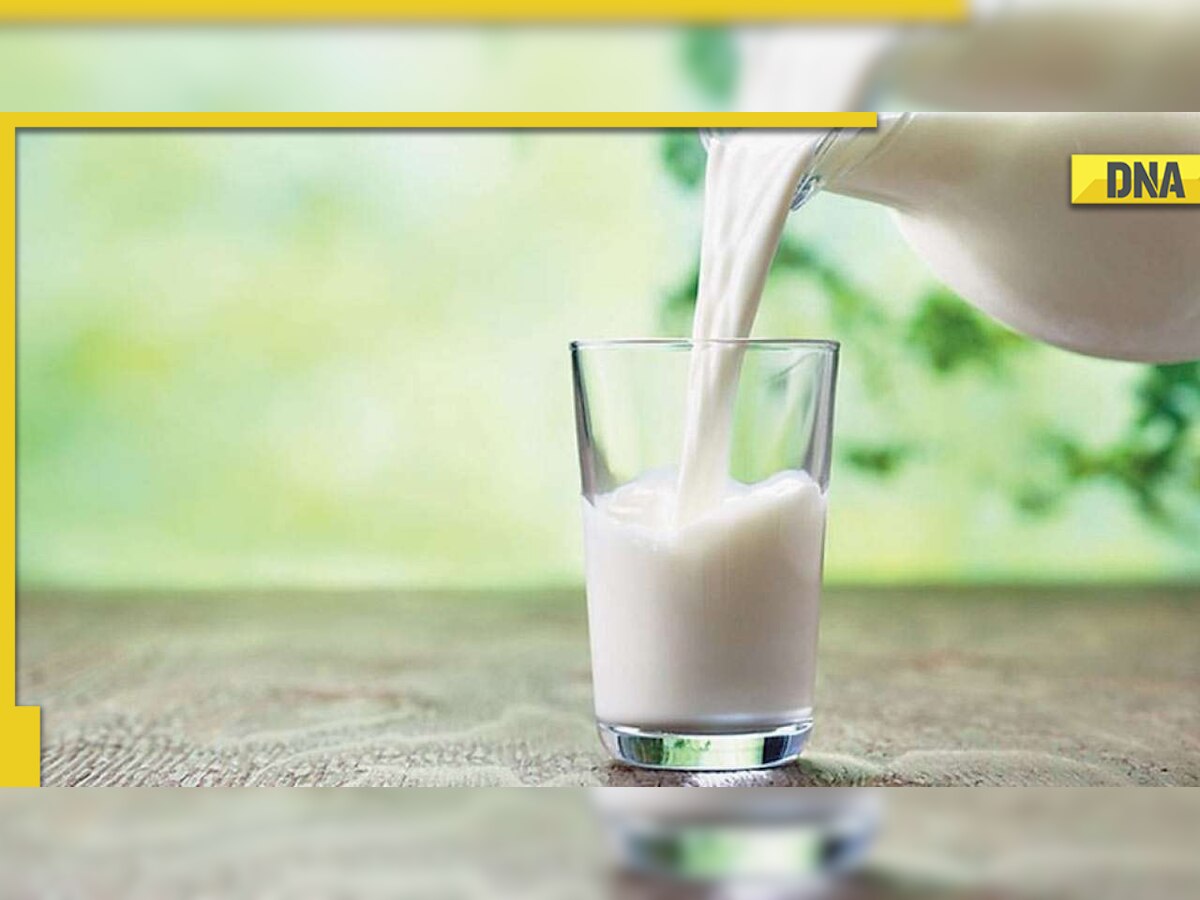 No clean milk for Delhi residents? High Court refuses to entertain PIL seeking sanitary dairy