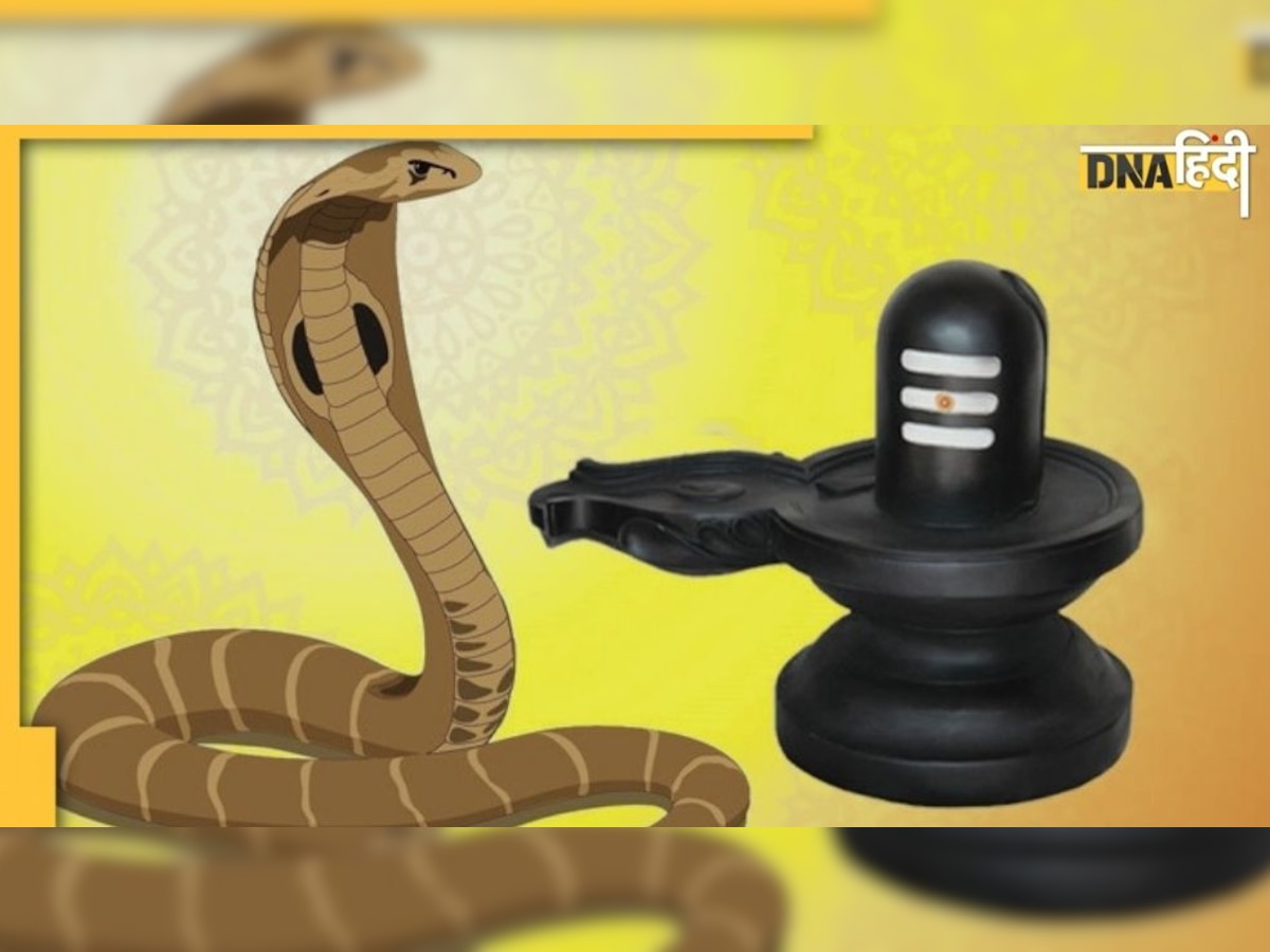 Nag Panchami 2022: कालसर्प योग, पितृ दोष से मुक्ति के लिए करें इस स्तोत्र का पाठ