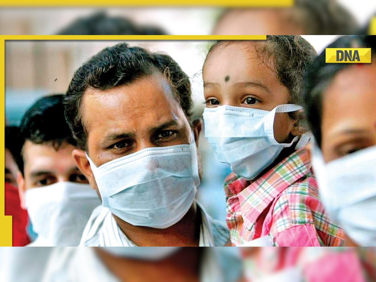 Maharashtra swine flu cases touch 142, 7 die due to deadly disease 