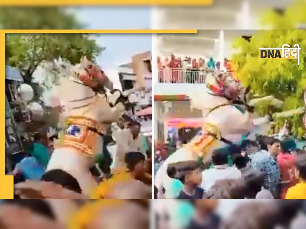 Viral Video: घोड़ी नचाने का रिवाज पड़ा भारी, सिर पर ऐसी नाची कि घायल हो गए 6 बाराती