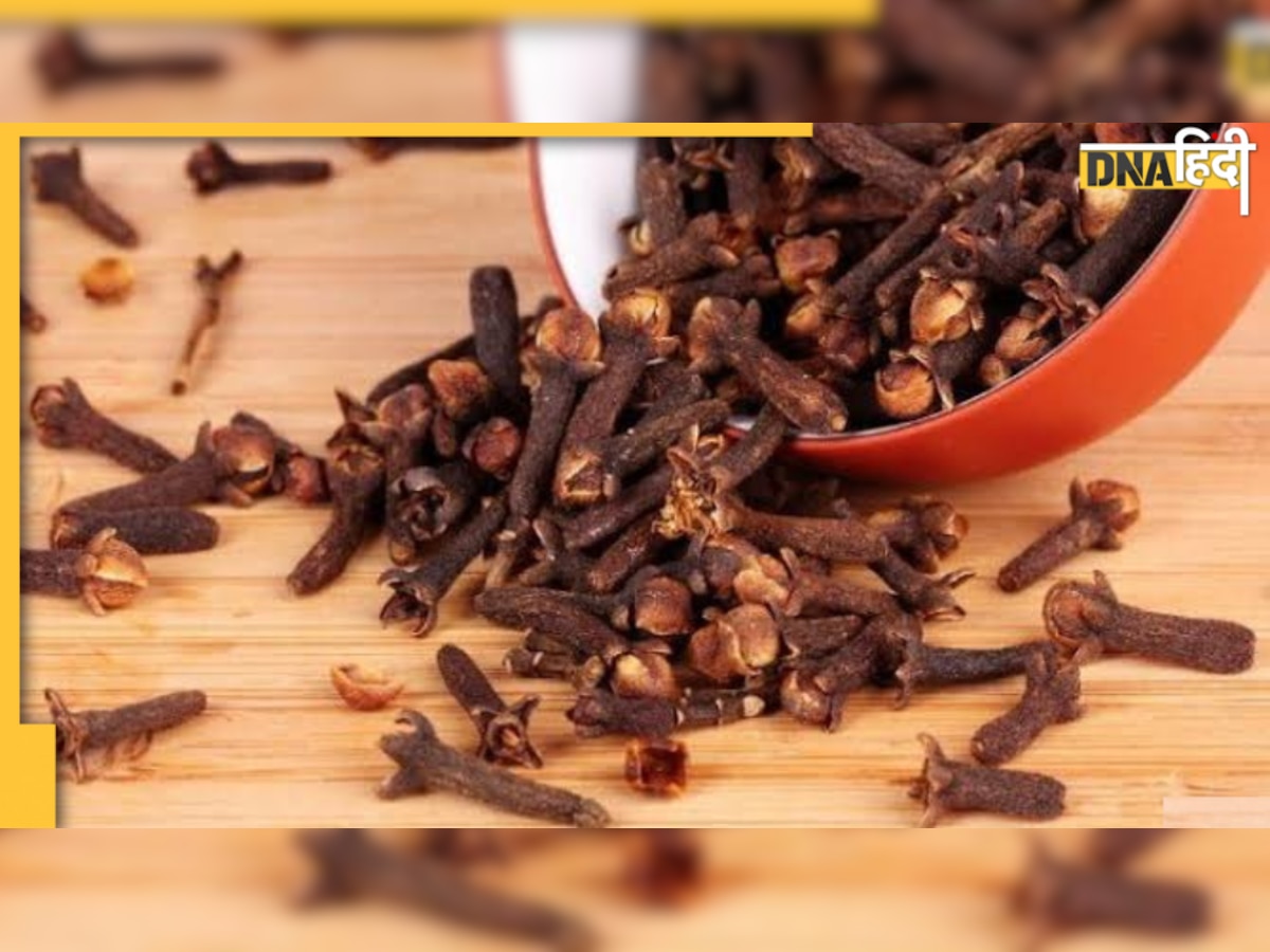 Clove Benefits: कैंसर जैसी बीमारी को दूर रखती है लौंग, जानिए और किन बीमारियों में है फायदेमंद