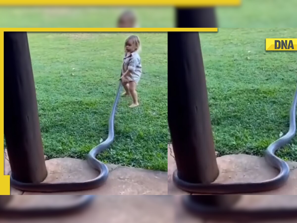 Meet the 'world’s youngest snake catcher' in this viral video