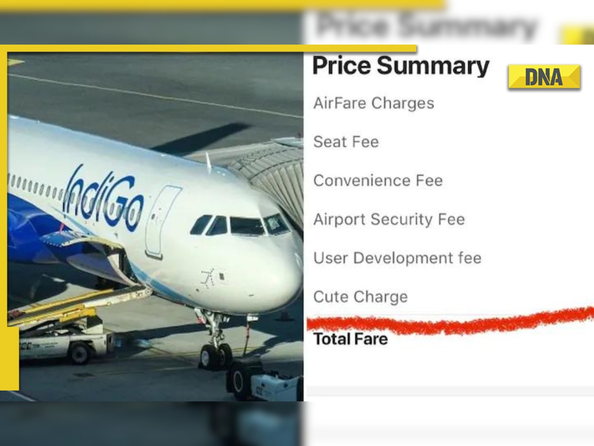 IndiGo charges 'cute fee' from passengers, clarifies after pic goes viral