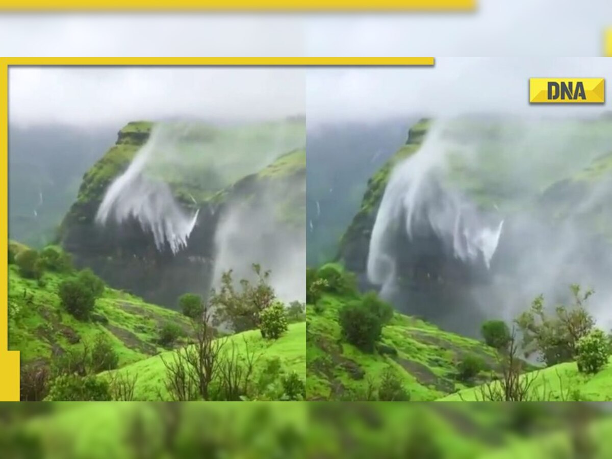 'Beauty of Monsoons': Reverse waterfall in Maharashtra's Naneghat wins netizens' heart