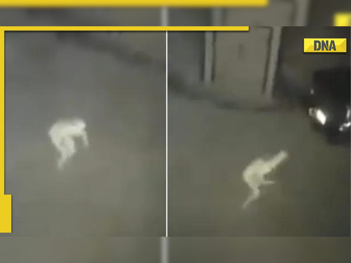 Viral CCTV footage of mysterious pale figure leaves netizens puzzled, sparks debate among paranormal enthusiasts