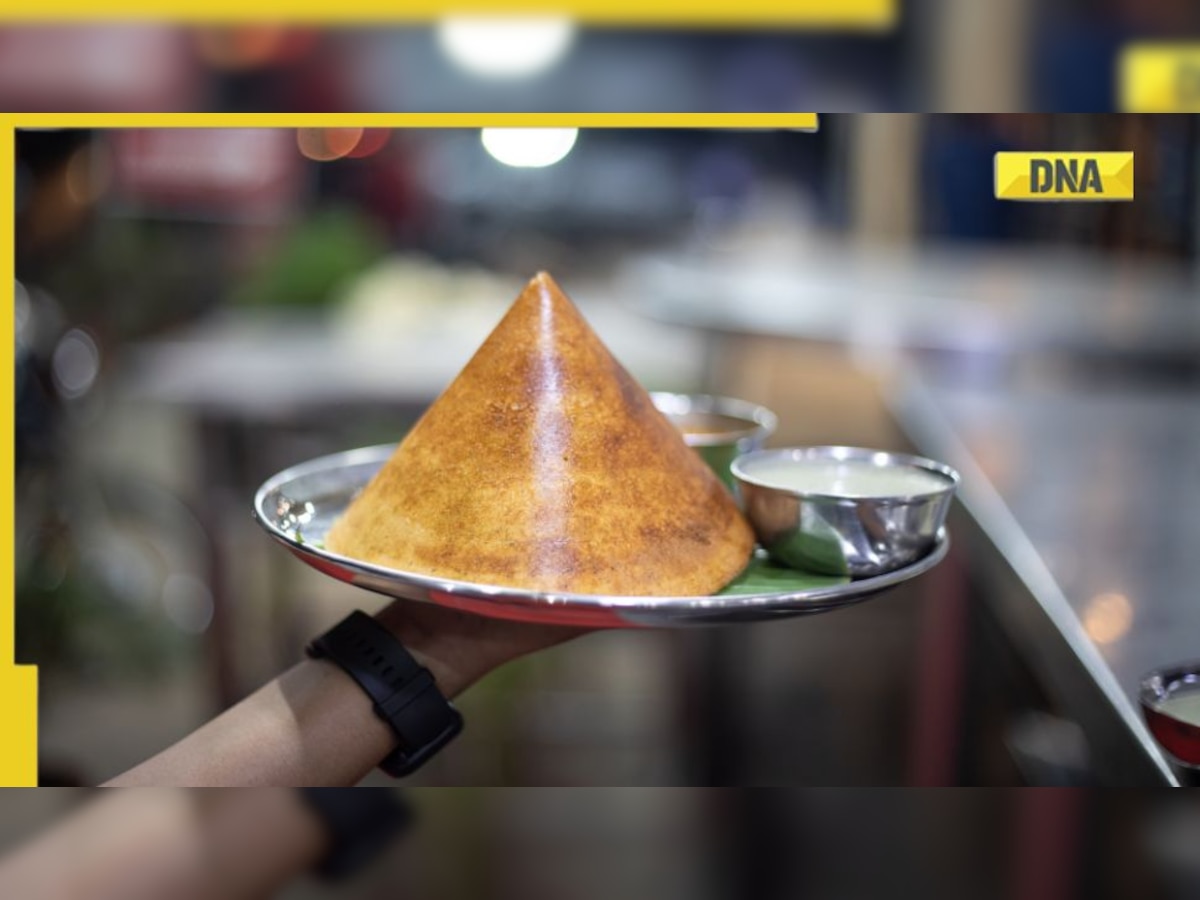 Viral: US restaurant menu lists South Indian dosa as 'Naked Crepe', netizens shocked