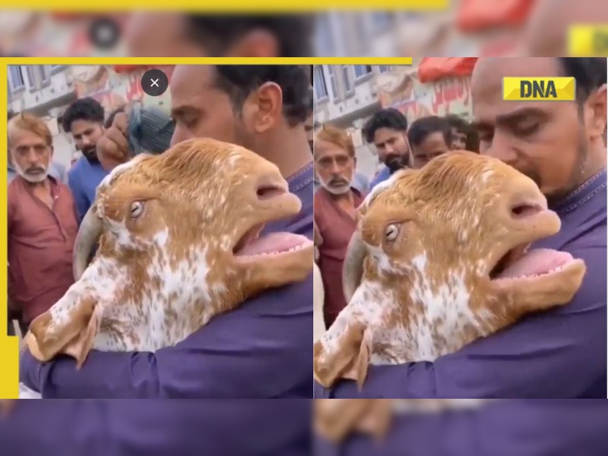 Goat being sold hugs owner, weeps like human in heartbreaking viral video