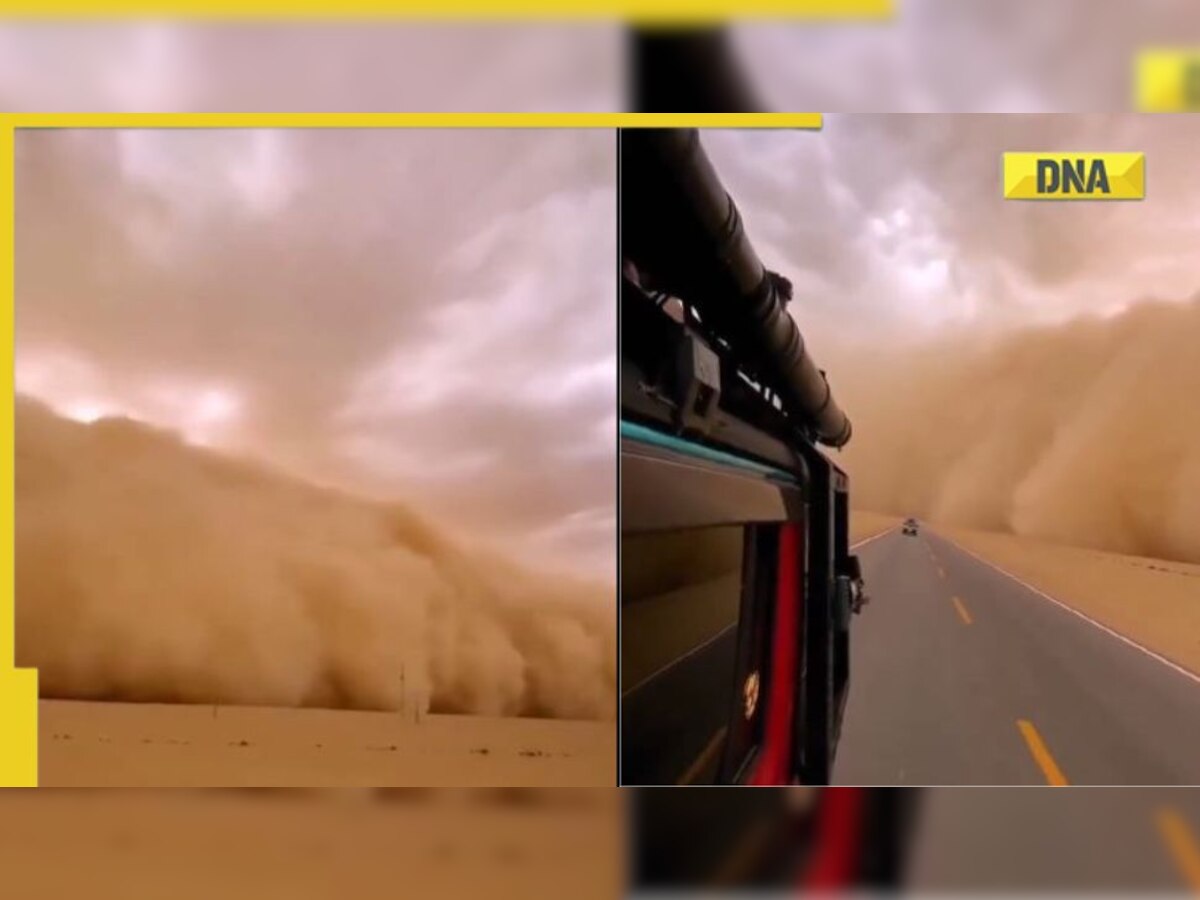 Viral Video: Massive sandstorm engulfs towns in Northwest China in darkness