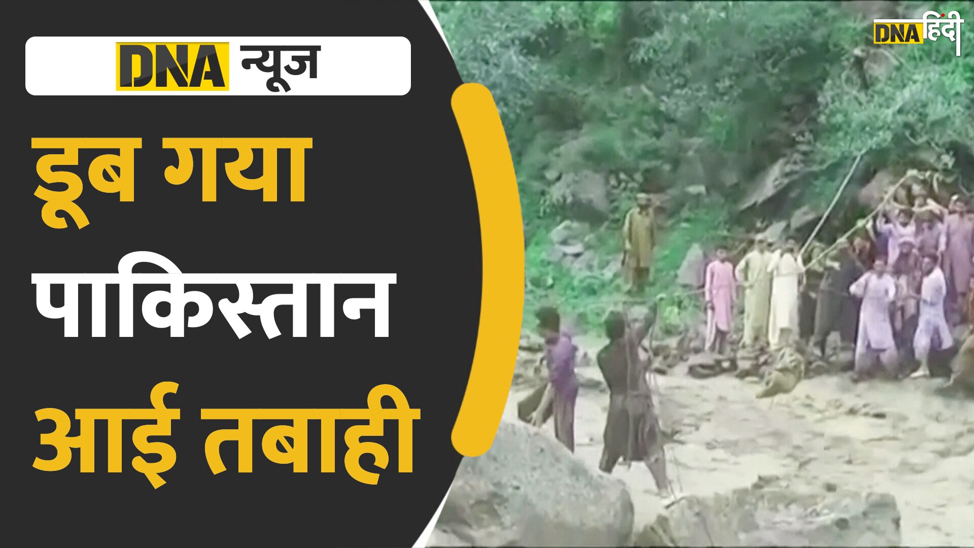 Video: पाकिस्तान में बाढ़ ने मचाई तबाही