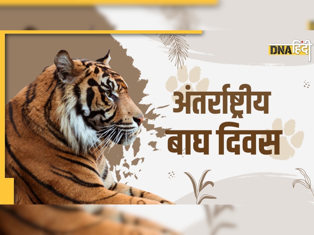 International Tiger Day 2022: क्यों मनाया जाता है अंतर्राष्ट्रीय बाघ दिवस, कैसे हुई इसकी शुरुआत?