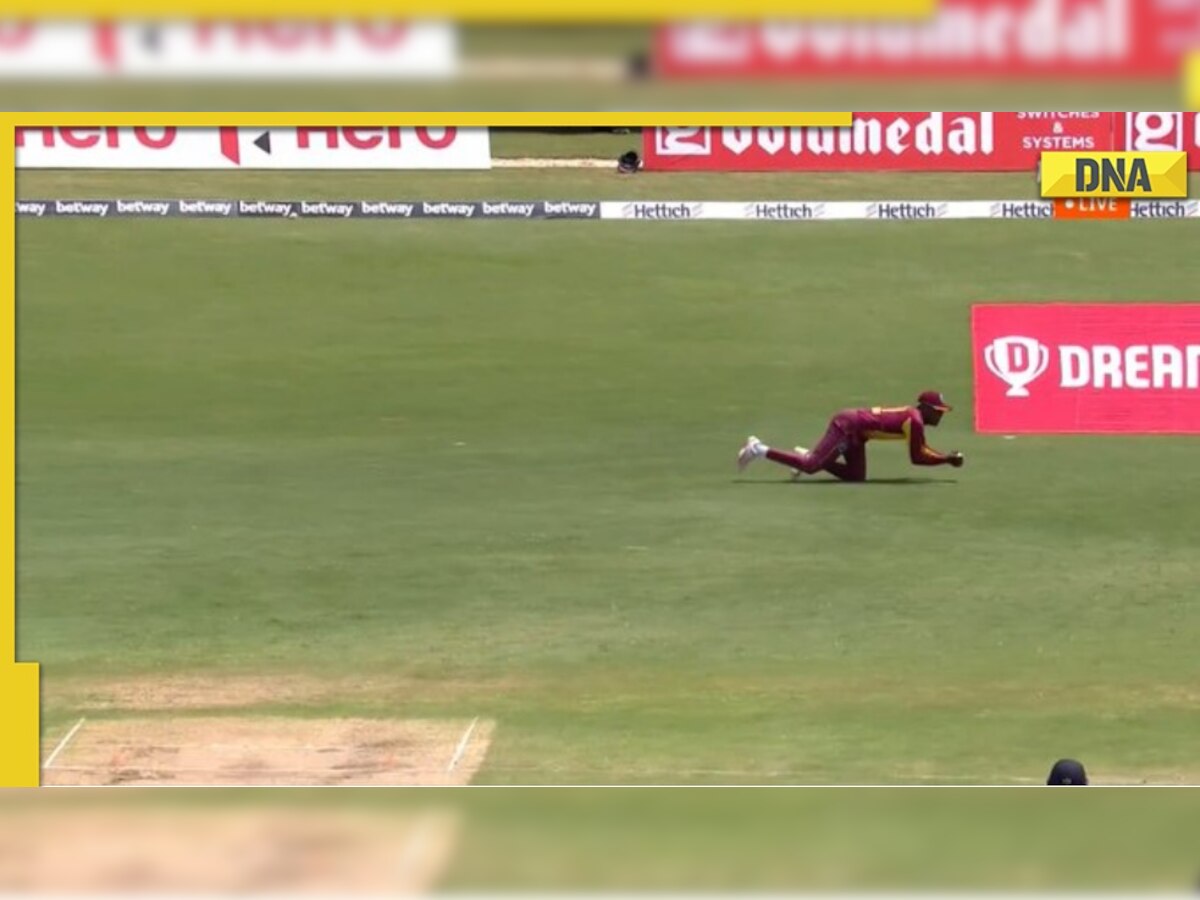 Watch: Akeal Hosein's outstanding catch to dismiss Shreyas Iyer for a 'duck'