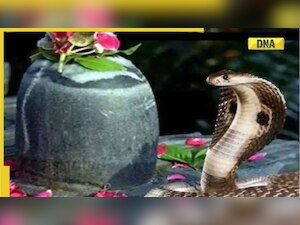 Nag Panchami 2022: History, significance, date, celebrations across India