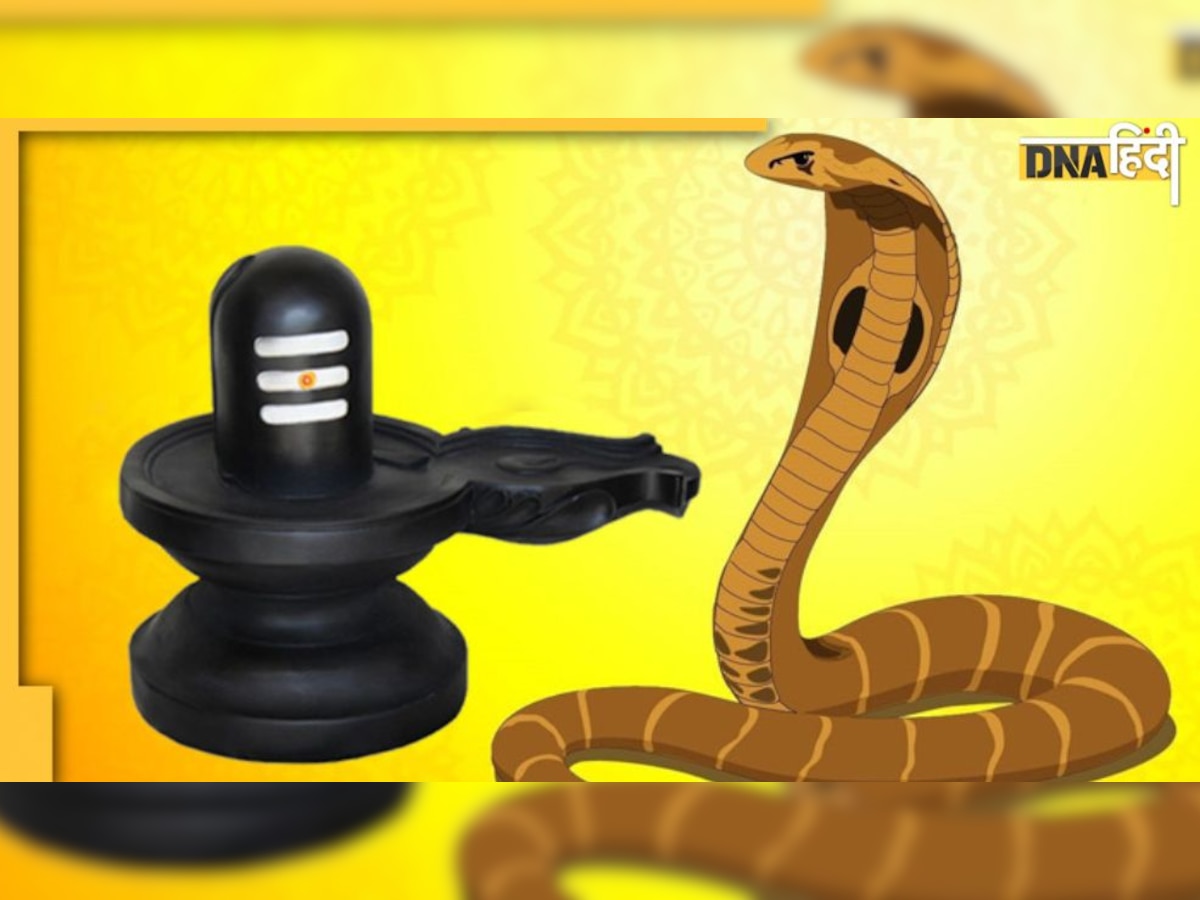 Nag Panchami 2022: नागपंचमी पर जरूर करें श्रीसर्प सूक्त का पाठ, दूर हो जाएंगे जीवन के सारे कष्‍ट