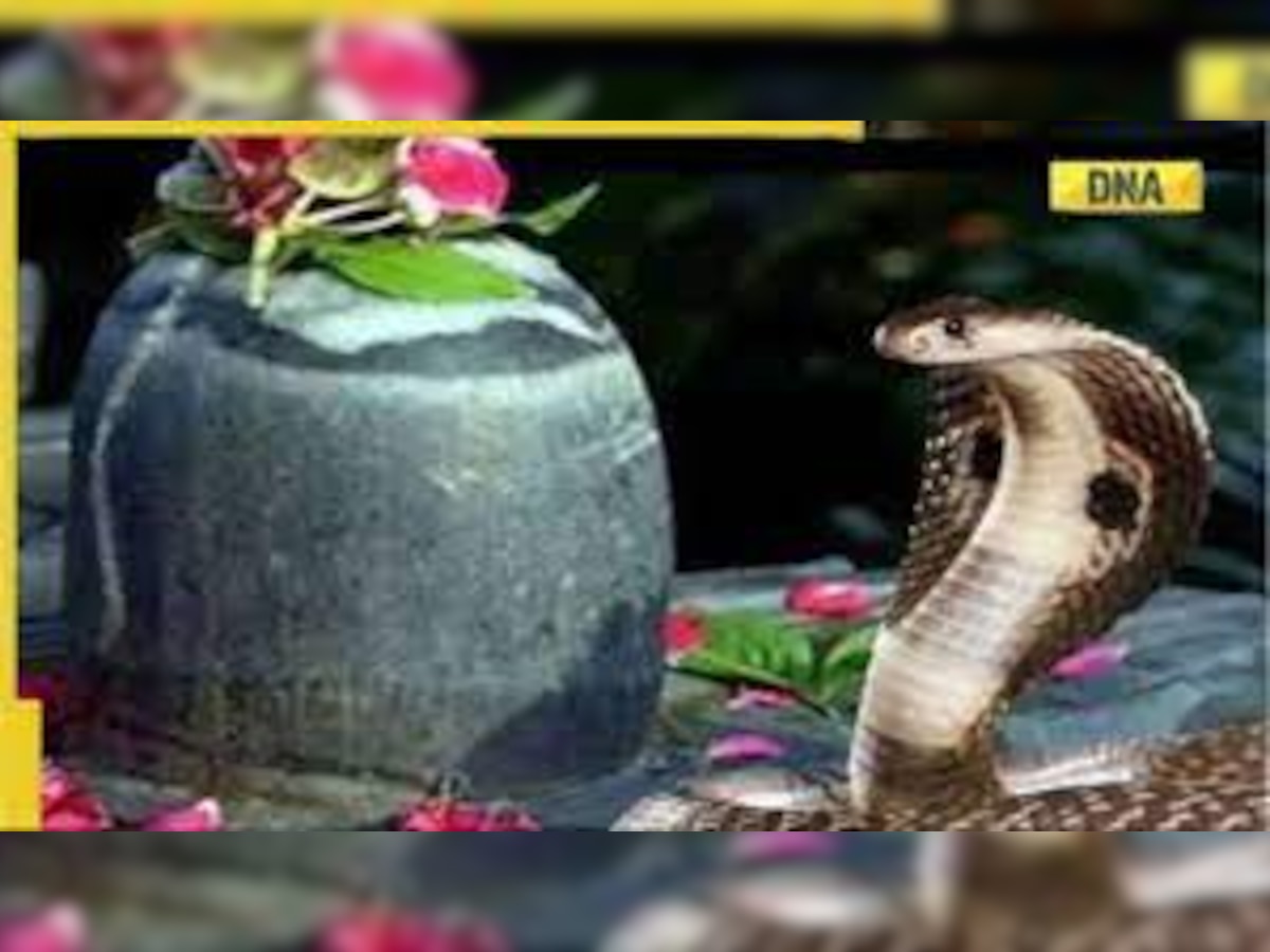 Nag Panchami 2022: Do's and Don’ts while worshipping Nag Devta during Sawan