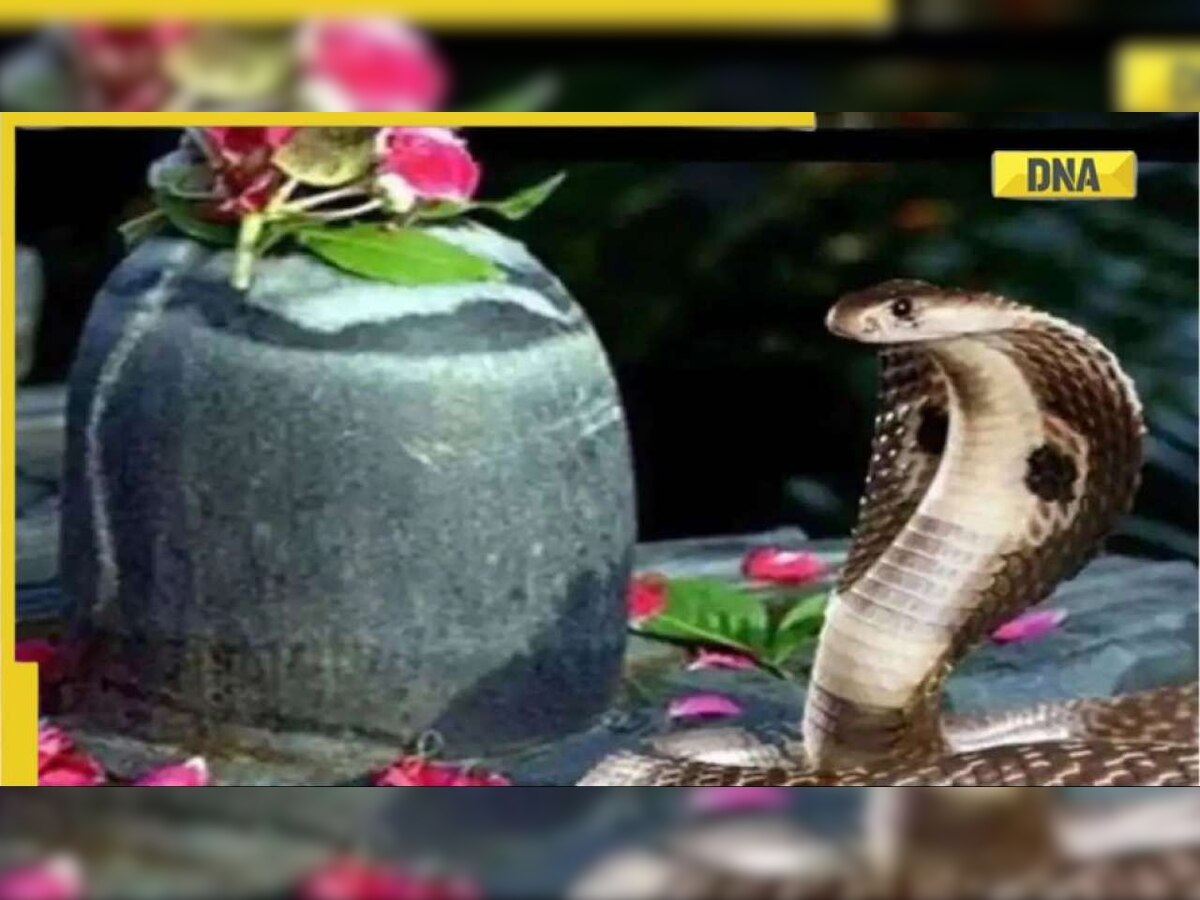 Nag Panchami 2022: WhatsApp wishes, messages, quotes to share with your loved ones 