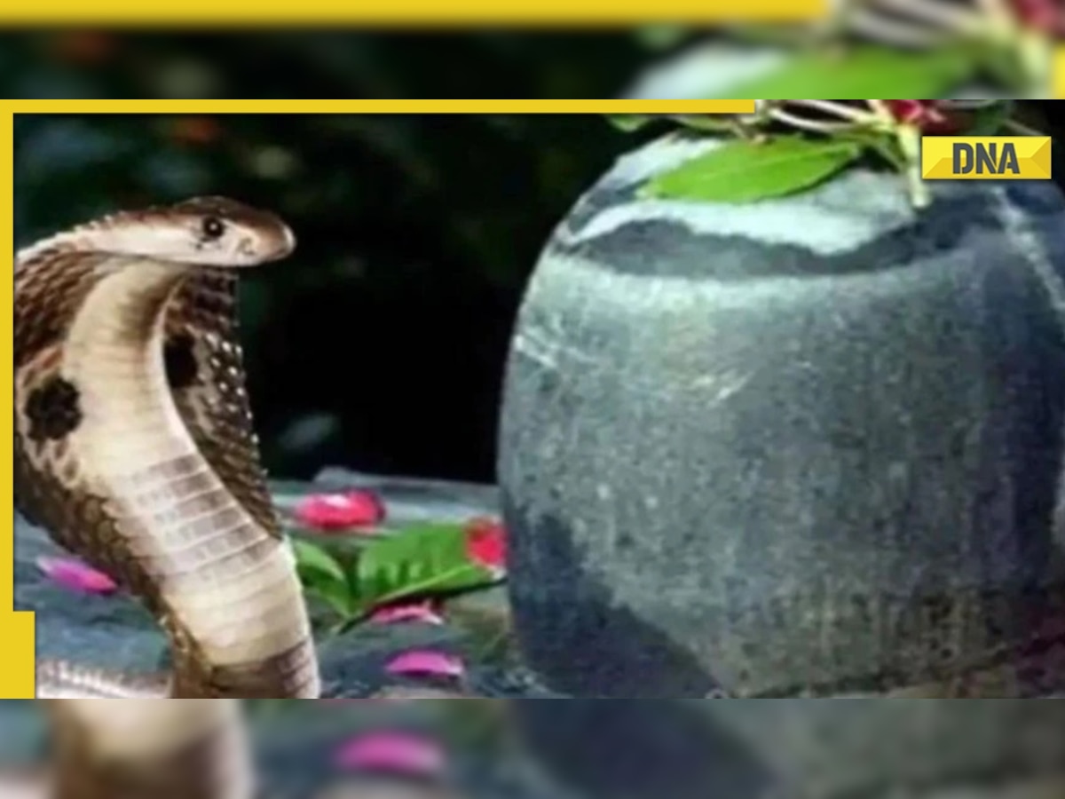 Nag Panchami 2022 to be celebrated today, know significance and history of festival in India