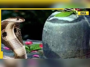 Nag Panchami 2022 to be celebrated today, know significance and history of festival in India
