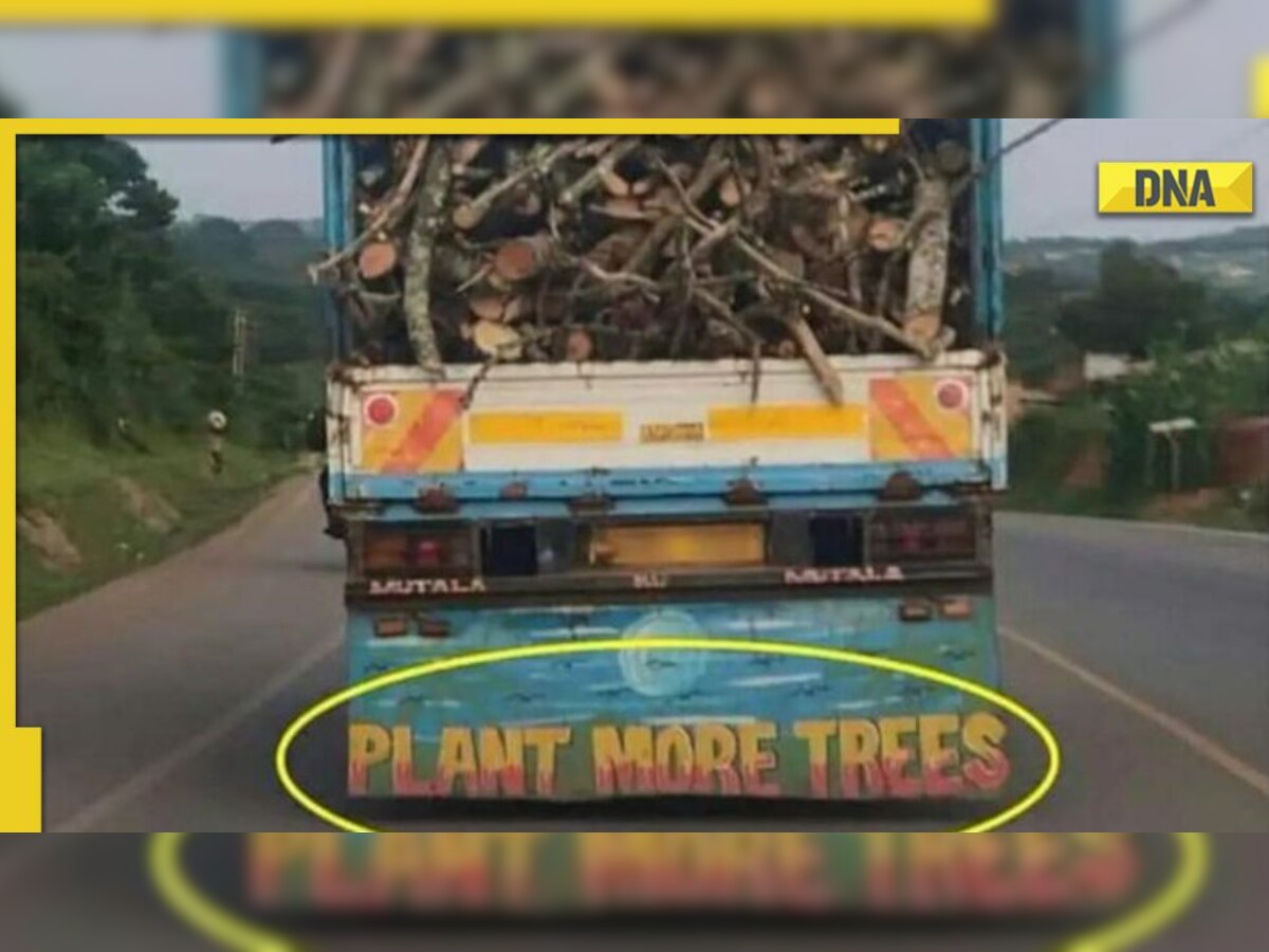 'Plant more trees' written on truck filled with chopped trees, IAS Awanish Sharan shares pic