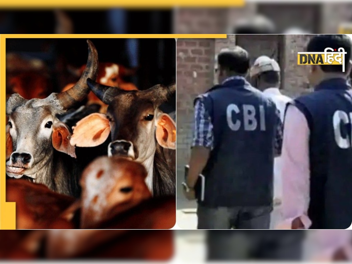 Cattle smuggling scam: बंगाल में TMC नेताओं के घरों पर CBI की रेड, रडार पर कई दिग्गज!