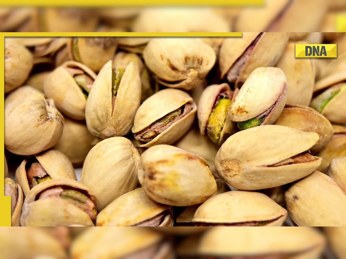 From antioxidants to weight loss: Know benefits of including pistachios in your diet