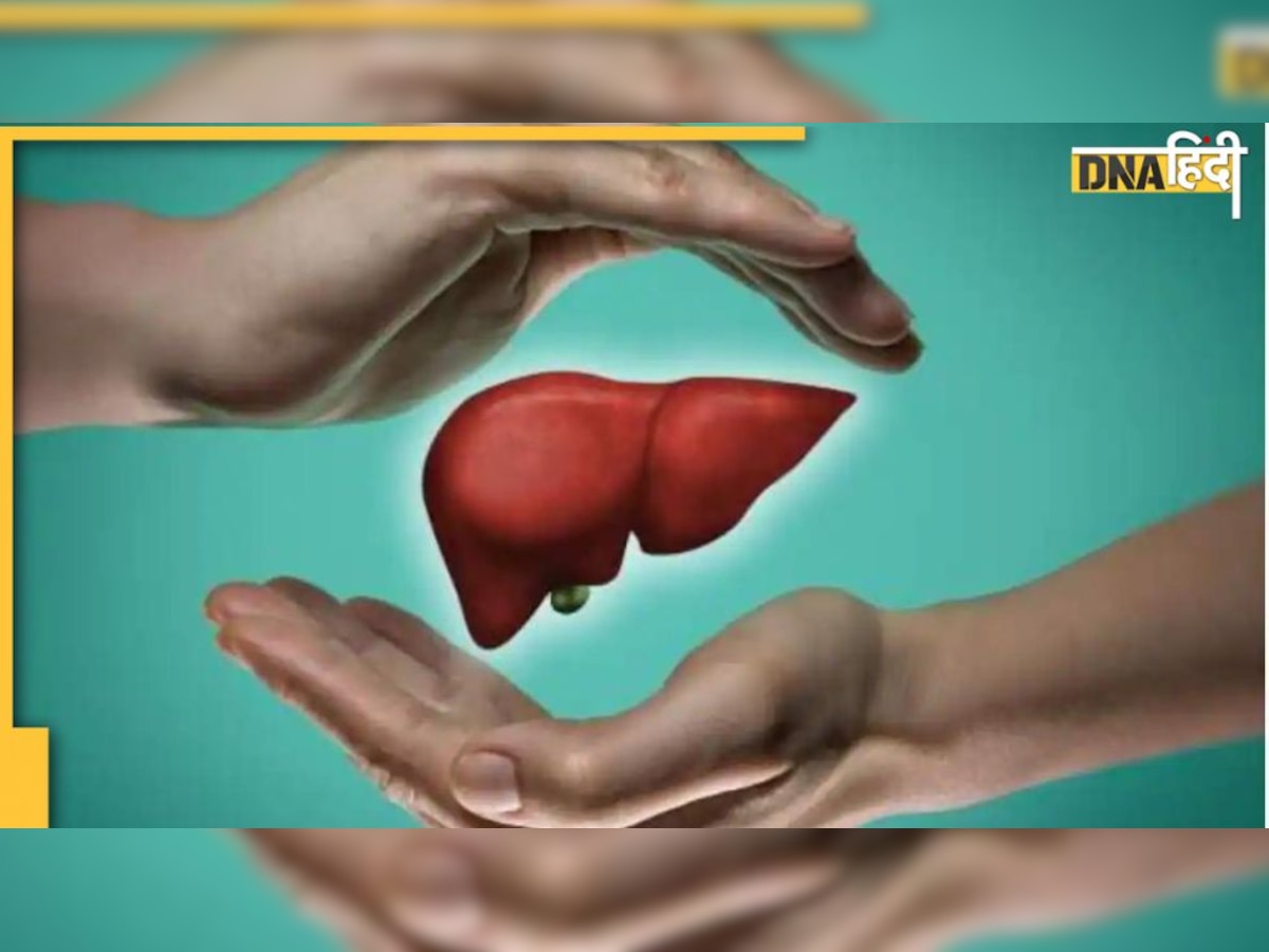 Liver Health : लिवर का हाल बता देंगे ये 6 टेस्ट, जैसे ही दिखे ये लक्षण, करवा लें जांच