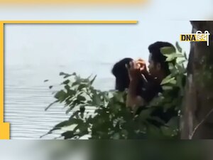 Viral Video: महबूबा के बालों में जूं देख रहा था आशिक, लोग बोले - इसे कहते हैं क्वालिटी टाइम