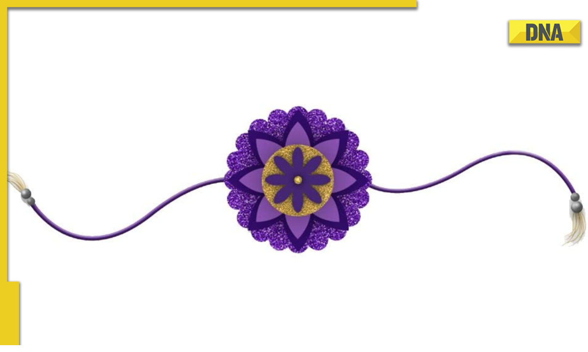 Raksha Bandhan What is a connected Rakhi and where you can get one