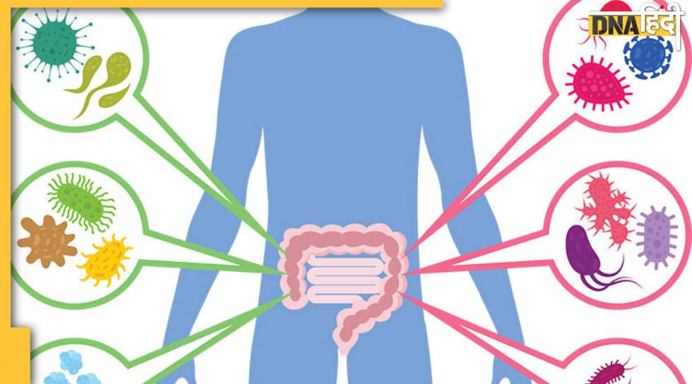 Leaky Gut Syndrome कय ह यह पट और आत स जड समसय जनए इसक