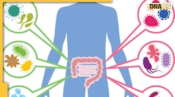 Leaky Gut Syndrome: क्या है यह पेट और आंत से जुड़ी समस्या, जानिए इसके लक्षण और कैसे करें इलाज