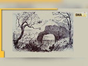 Optical Illusion: तस्वीर में छिपे हैं 7 जानवर और एक इंसान, 15 सेकंड में ढूंढ लिया तो कहलाएंगे 'सुपर जीनियस'