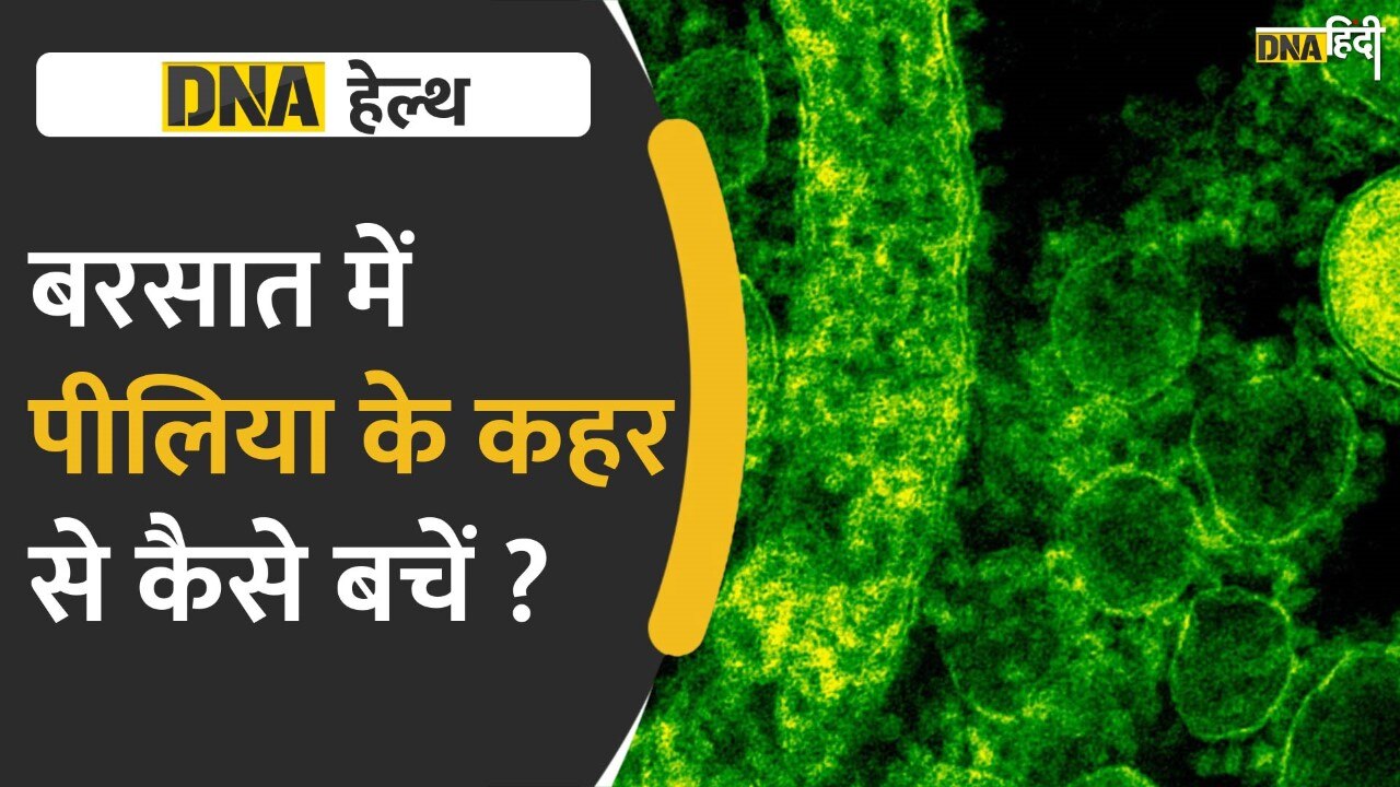 Video: जॉन्डिस से कैसे बचें? बरसात के मौसम में इस बात का रखें खास ख्याल