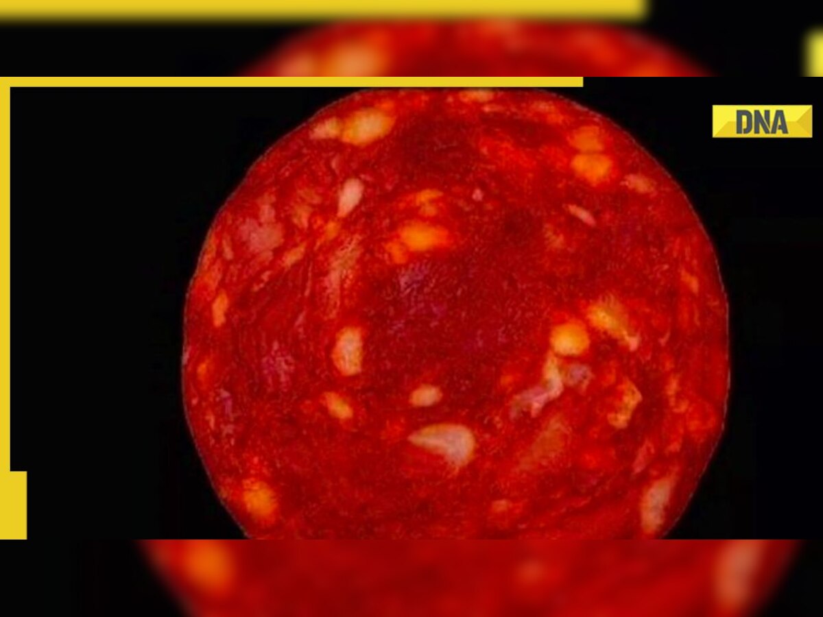Another distant star found? French scientist shares pic of sausage as joke, apologises later