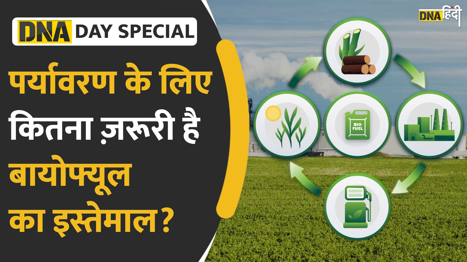 Video: World Biofuel Day पर पानीपत को पीएम मोदी का खास तोहफा