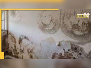 Home Hacks For Damp Wall: बरसात में दीवारें होती हैं खराब तो अपनाएं ये सिंपल टिप्स, हट जाएगी सीलन 