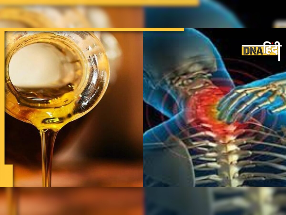 Oil For Arthritis Pain: जैतून के तेल को क्यों कहते हैं 'तरल सोना', जानिए इसके उपयोग से कैसे दूर होती है गठिया