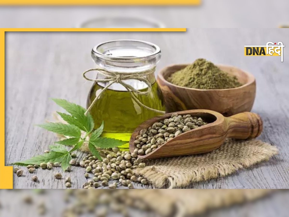 CBD Oil Benefits: तनाव, बेचैनी को दूर भगाने में काम आता है ये तेल, जानिए क्या है CBD और कैसे बनता है?