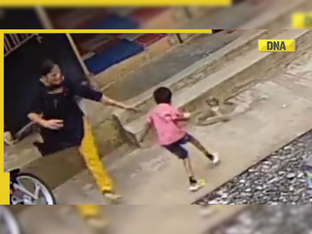 Viral video: Karnataka woman saves son from snake ready for attack, wins online praise