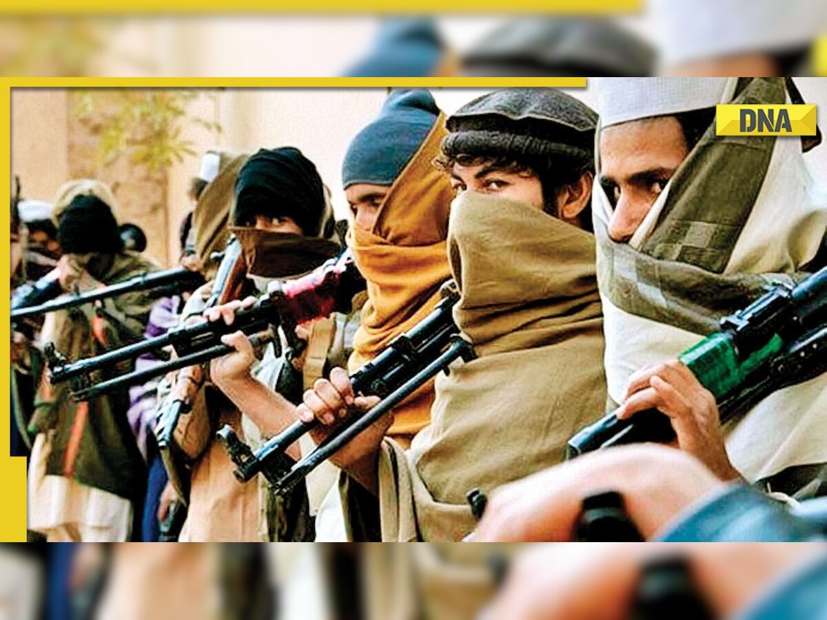 Pakistan at 75: A legacy of terror